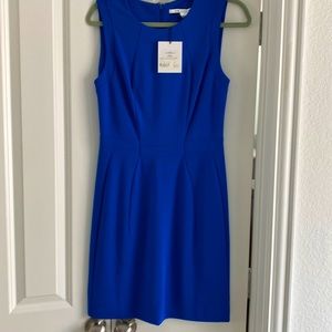 NWT Diane von Furstenberg Shanna Dress SZ 6